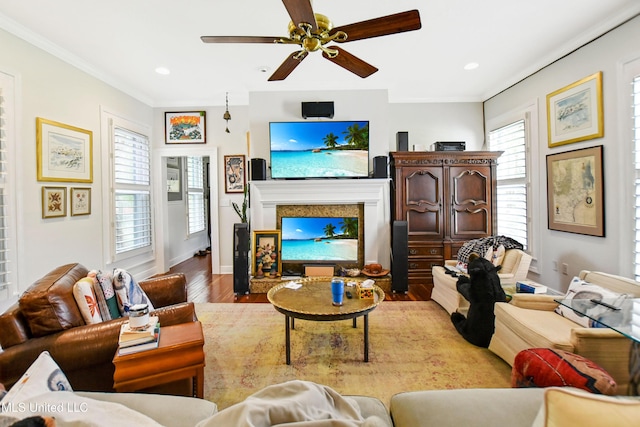 living room featuring plenty of natural light, a fireplace, wood finished floors, and ceiling fan