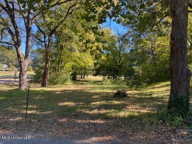 2650 College Cv, Hernando MS, 38632 land for sale