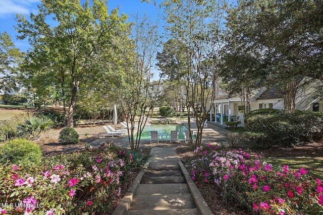 view of community featuring a patio area and a swimming pool