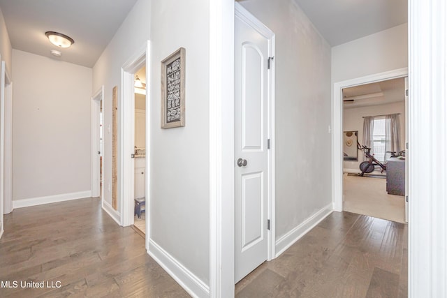 hallway with wood-type flooring