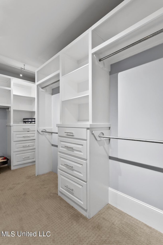 spacious closet featuring light colored carpet