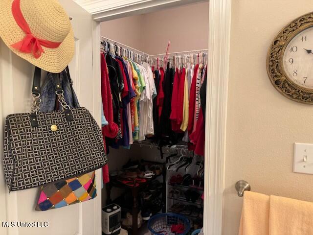 view of walk in closet