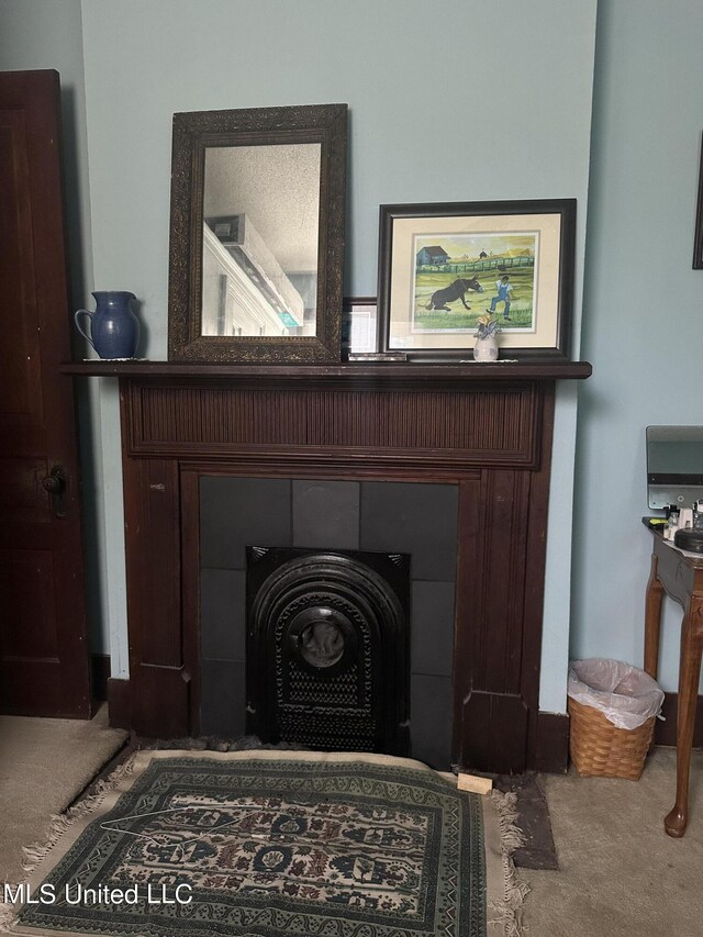 details featuring carpet and a fireplace