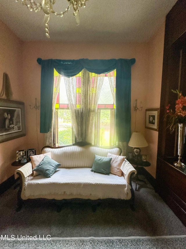 sitting room with carpet and a wealth of natural light