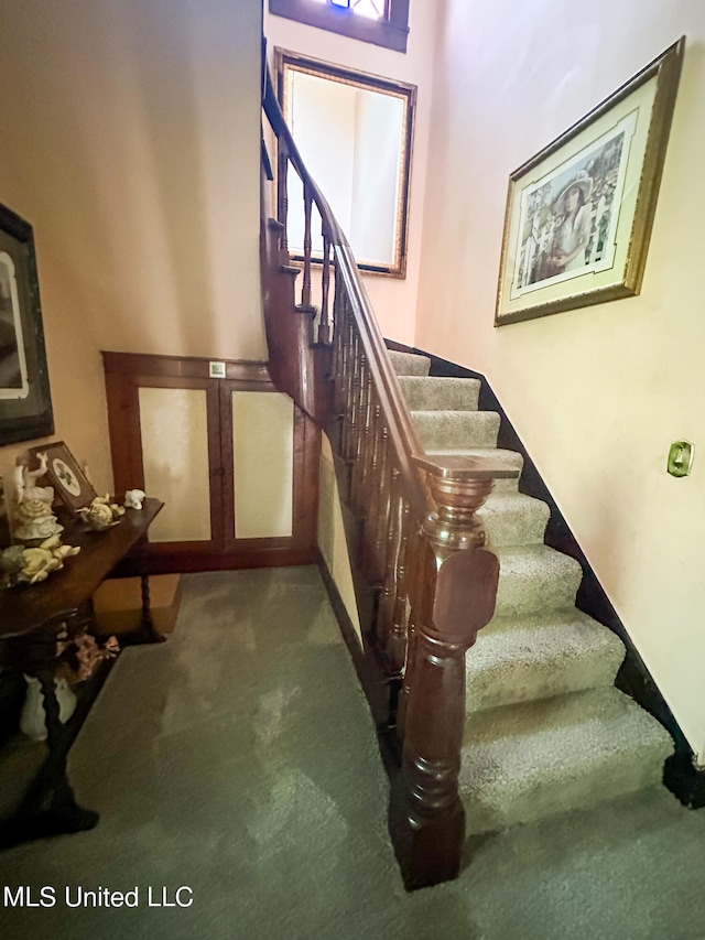 stairway featuring carpet floors