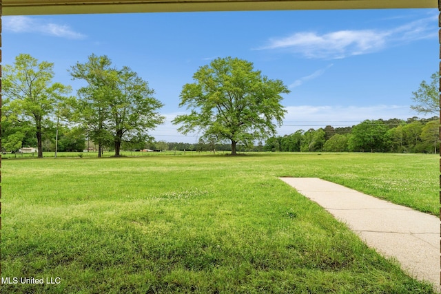 view of yard