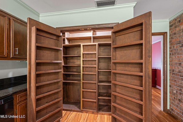 storage area featuring visible vents