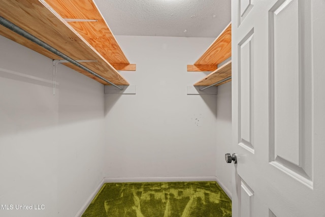 walk in closet featuring carpet flooring