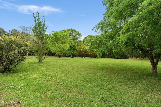 view of yard