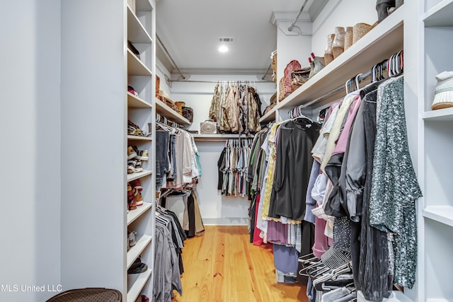 spacious closet featuring wood-type flooring