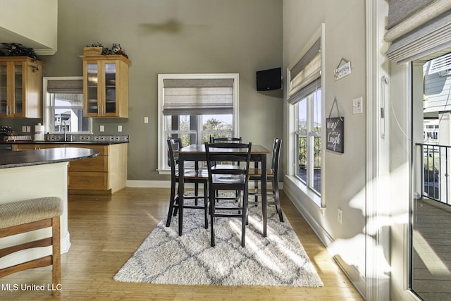 kitchen featuring a sink, a towering ceiling, light wood finished floors, dark countertops, and glass insert cabinets