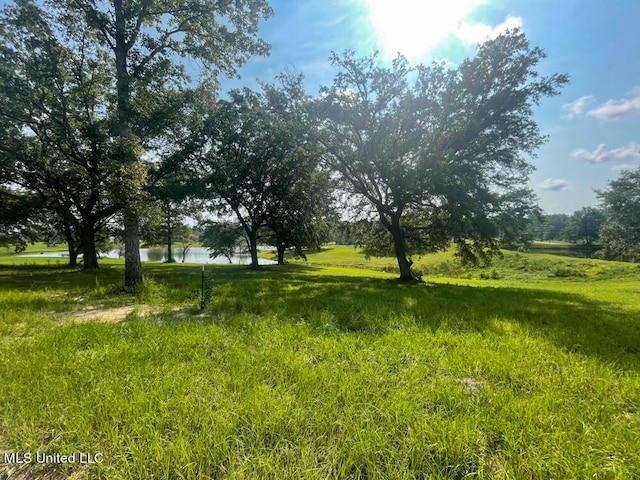 Listing photo 2 for LOT25 Gracies Way, Lucedale MS 39452