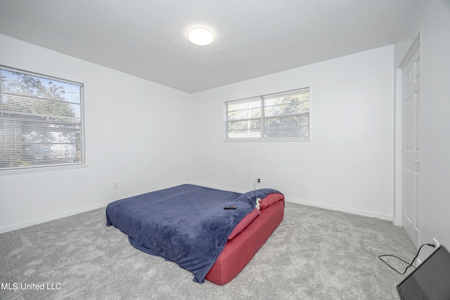 carpeted bedroom with multiple windows