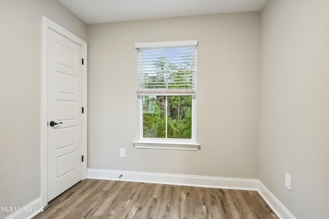 spare room with wood-type flooring