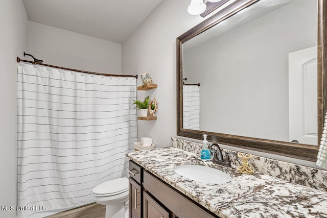 bathroom with wood-type flooring, vanity, and toilet