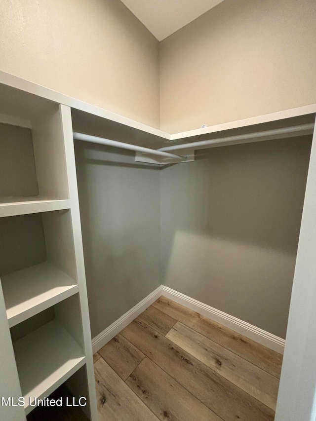 spacious closet featuring wood-type flooring