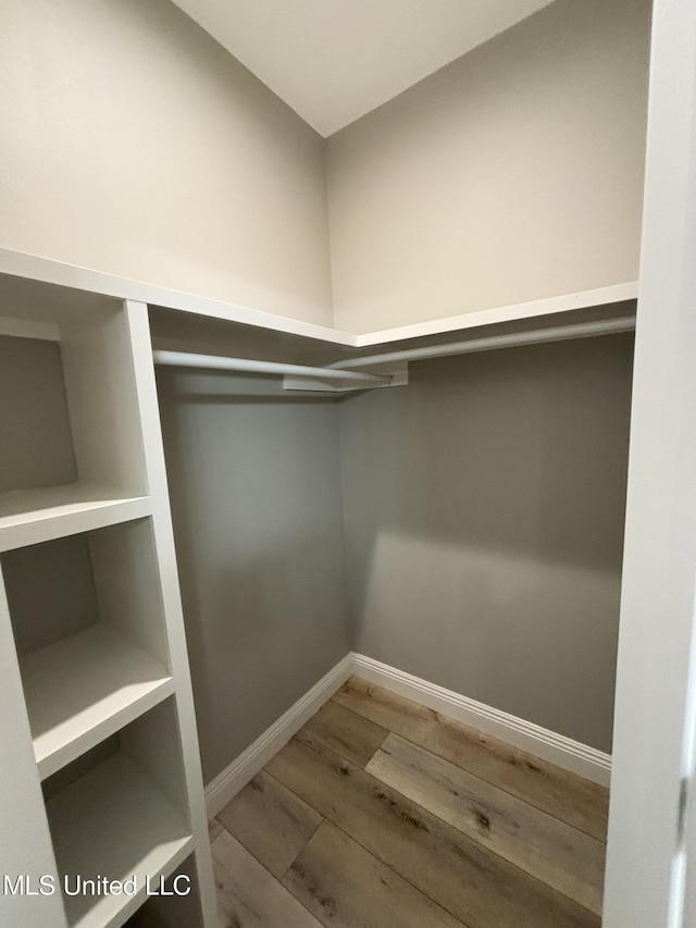 spacious closet with hardwood / wood-style flooring