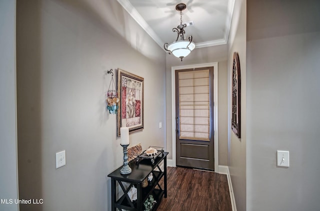 doorway to outside featuring ornamental molding and dark hardwood / wood-style floors