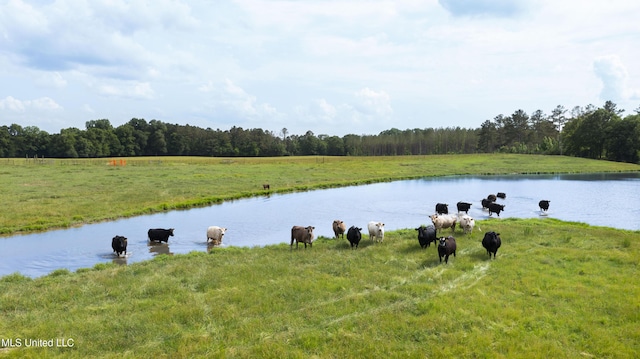 00 Henry Place Rd, Benton, MS 39039