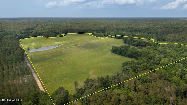 00 Henry Place Rd, Benton, MS 39039