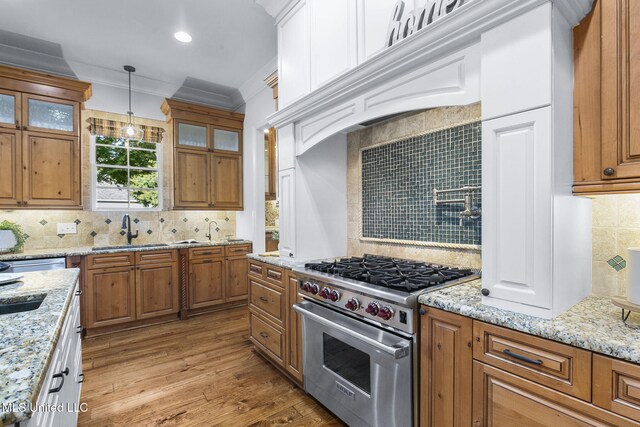 kitchen with sink, ornamental molding, decorative backsplash, light hardwood / wood-style floors, and premium range