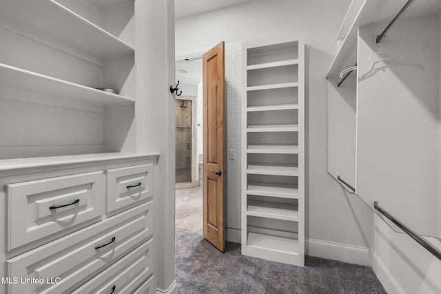 walk in closet featuring dark colored carpet