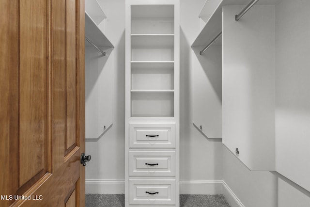 spacious closet with carpet flooring