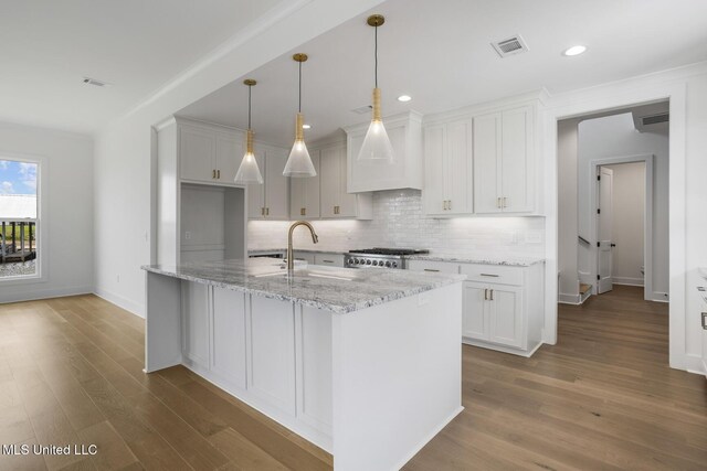 101 Harbour Lndg, Madison, MS 39110 - kitchen featuring a sink, stove, tasteful backsplash, wood finished floors, and light stone countertops