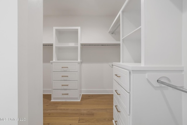 101 Harbour Lndg, Madison, MS 39110 - spacious closet with light wood-type flooring