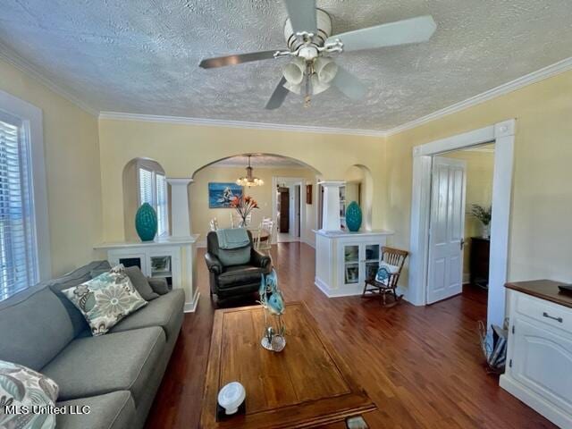 living room featuring ornamental molding, ceiling fan with notable chandelier, dark hardwood / wood-style floors, and a healthy amount of sunlight