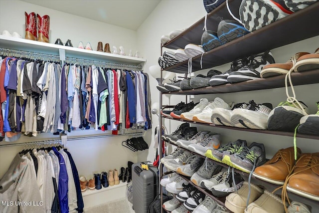 200 Falls Xing, Madison, MS 39110 - walk in closet featuring carpet floors