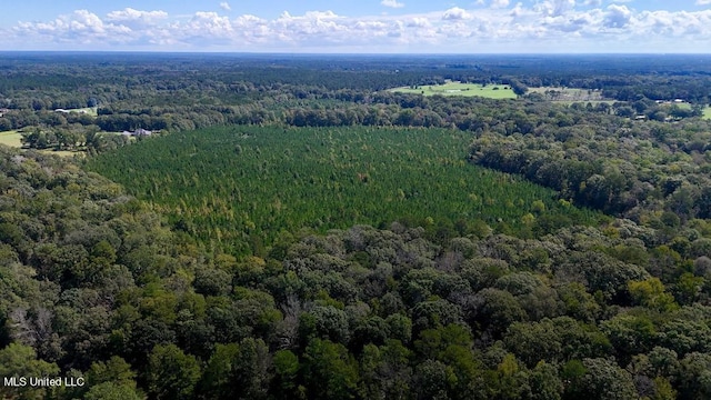 00 County Line Rd, Summit, MS 39666