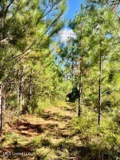 00 County Line Rd, Summit, MS 39666