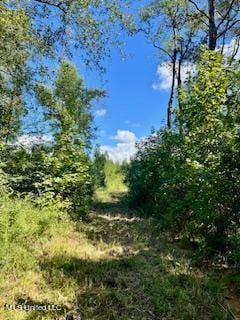 00 County Line Rd, Summit, MS 39666