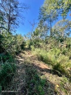 00 County Line Rd, Summit, MS 39666