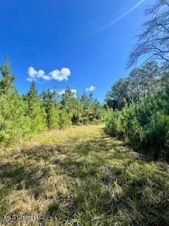 00 County Line Rd, Summit, MS 39666