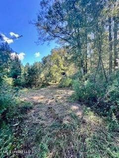 00 County Line Rd, Summit, MS 39666