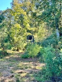 00 County Line Rd, Summit, MS 39666