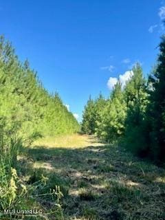 00 County Line Rd, Summit, MS 39666