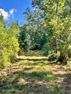 00 County Line Rd, Summit, MS 39666