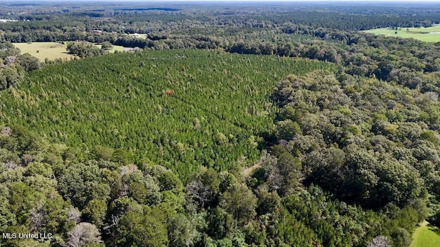 00 County Line Rd, Summit, MS 39666