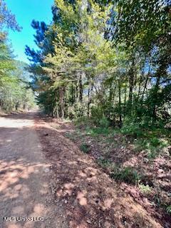 00 County Line Rd, Summit, MS 39666