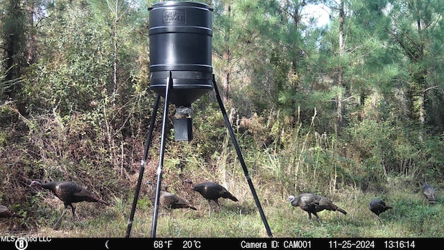 00 County Line Rd, Summit, MS 39666