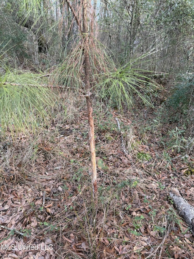 00 County Line Rd, Summit, MS 39666