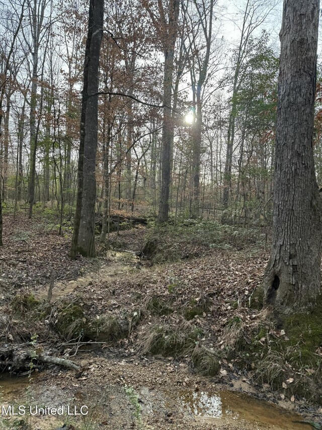 00 County Line Rd, Summit, MS 39666