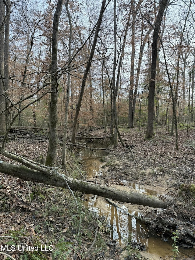 00 County Line Rd, Summit, MS 39666