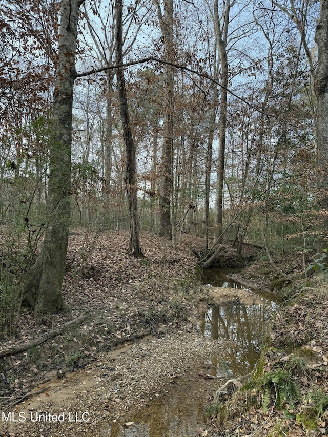 00 County Line Rd, Summit, MS 39666