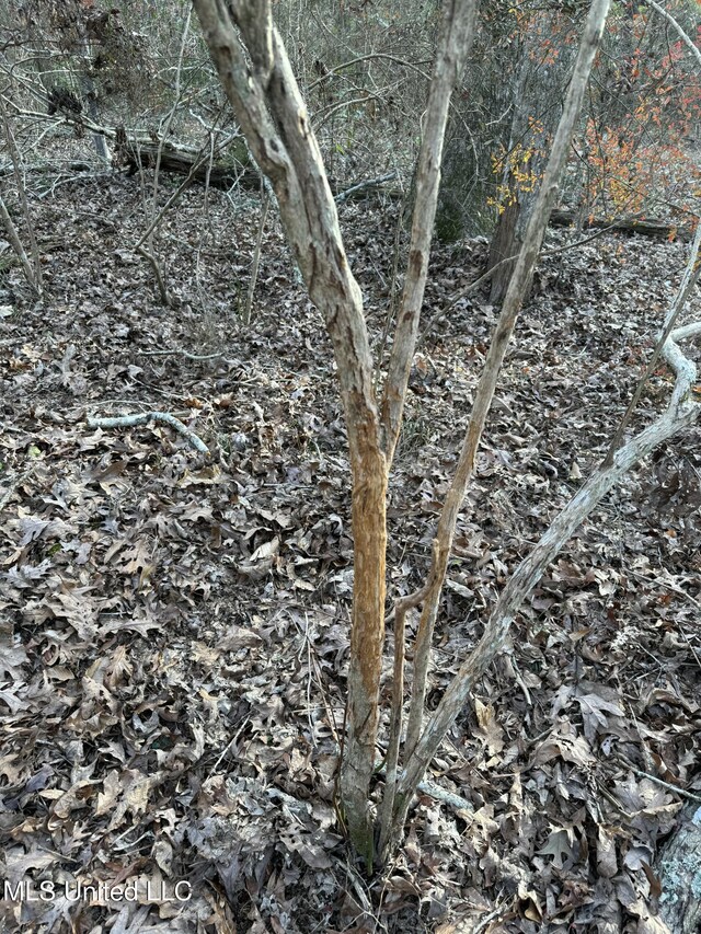 00 County Line Rd, Summit, MS 39666