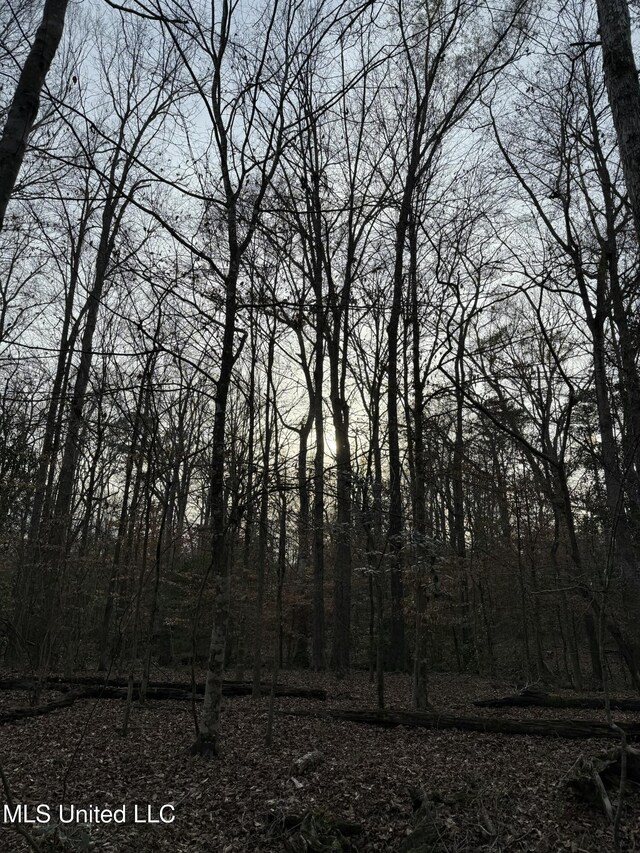 00 County Line Rd, Summit, MS 39666