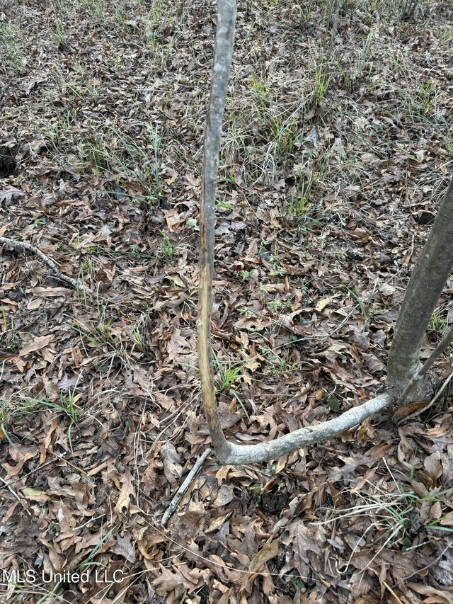 00 County Line Rd, Summit, MS 39666